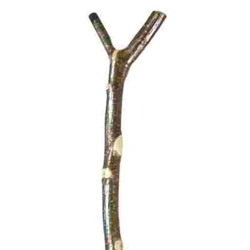 Long Hazel Thumbstick Country Walking Stick :: Sports Supports ...