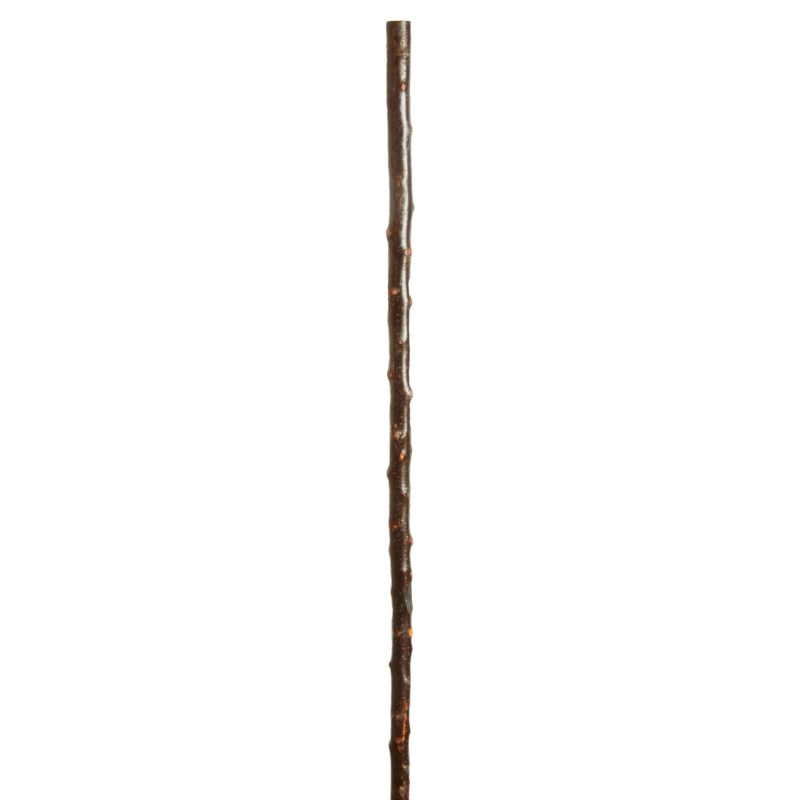 Long Blackthorn 135cm Walking Stick Fitup