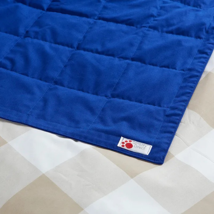 Sensory Direct Weighted Blanket For Kids | Health And Care