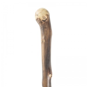 Natural Chestnut Knob Handle Walking Stick