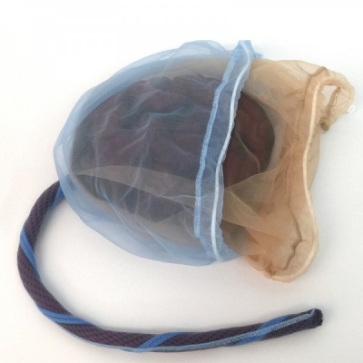 Placenta and Umbilical Cord Model