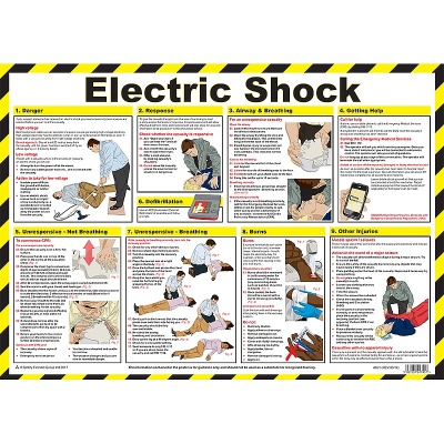 Evolution Electric Shock First Aid Point with Rescue Hook