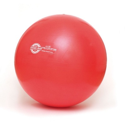 Sissel Physio Exercise Ball