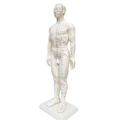 Soft Vinyl Male Meridian Acupuncture Model