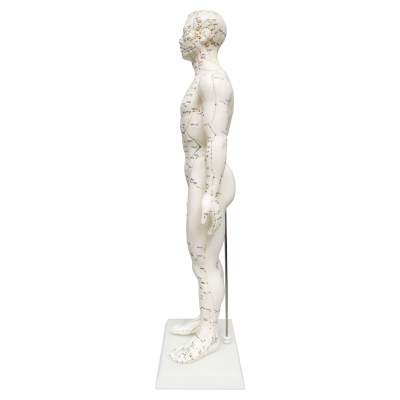 Soft Vinyl Male Meridian Acupuncture Model