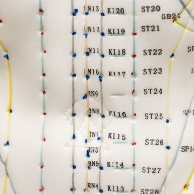 Soft Vinyl Male Meridian Acupuncture Model