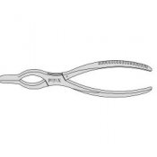 Walsham Nasal Septum Forceps For Redressing Right With Box Joint 2mm Health And Care