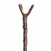 Blackthorn Walking Sticks | Health and Care