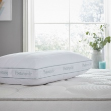 healthy spine align pillow