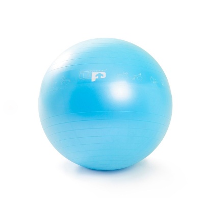 Anti-Burst Swiss Ball 55cm, 300kg Load Rating – Physio Warehouse